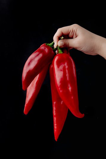 side view of woman hand holding red peppers on black background
